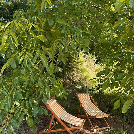 Et Le Champ Des Lucioles Oda ve Kahvaltı