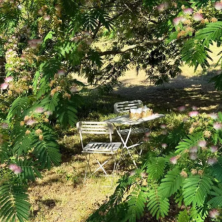 Oda ve Kahvaltı Et Le Champ Des Lucioles